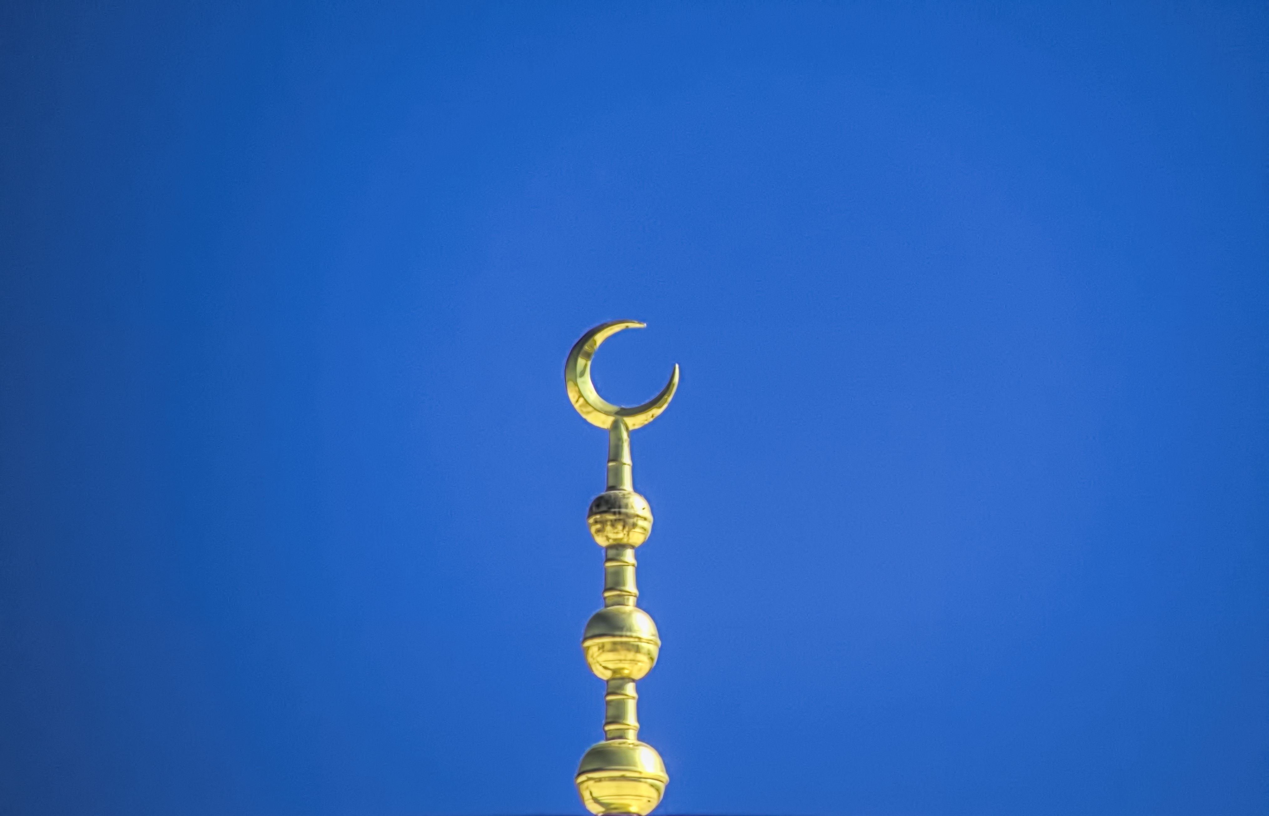 Islam: Religion of Peace ?