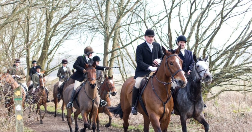 Fox Hunting: A Thing of the Past or the Future?