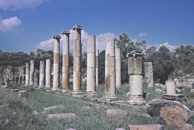 Is Academia Moving on from Classics?