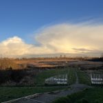 “Say It Again?…But a Little Slower This Time”: Navigating University Life With a Northern Accent
